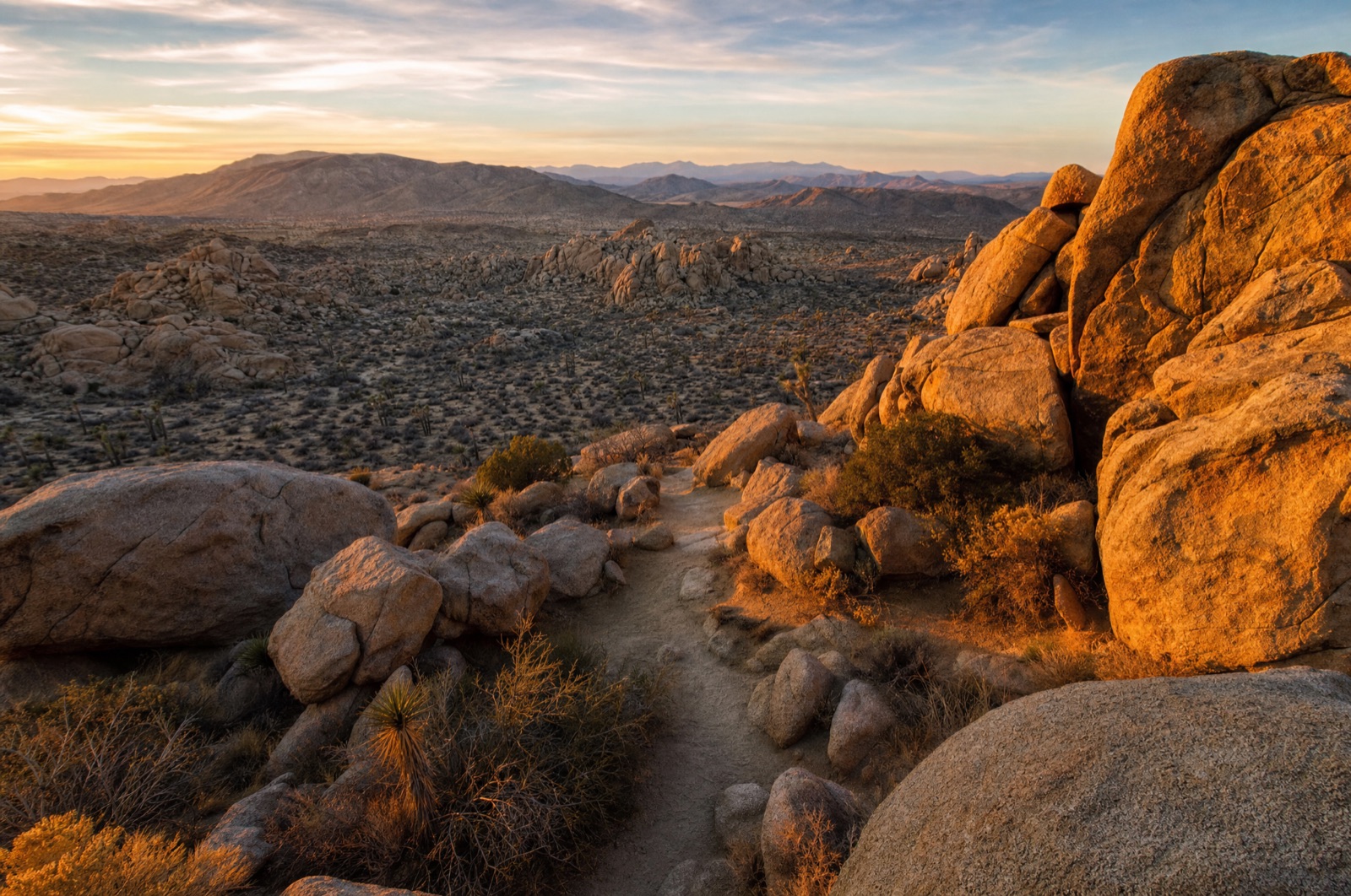 Desert adventures and day trips