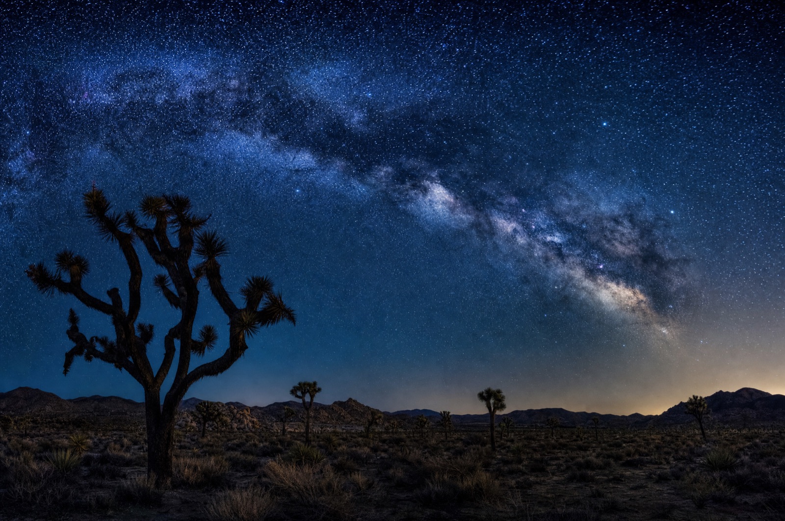 Stargazing under the desert night sky